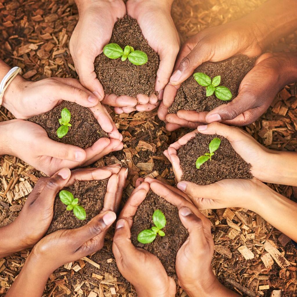 Le manager comme un jardinier